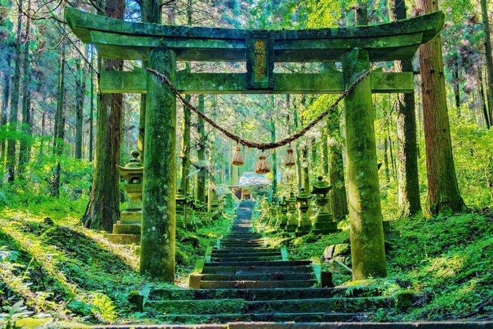 Fukuoka Takachiho Gorge and Amano Iwato Mythic Culture Trip