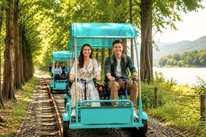 Nami Island and Gangchon Rail Bike Tour from Seoul