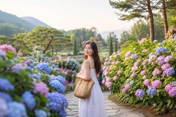 Nami Island, Petite France and Garden of Morning tour from Seoul