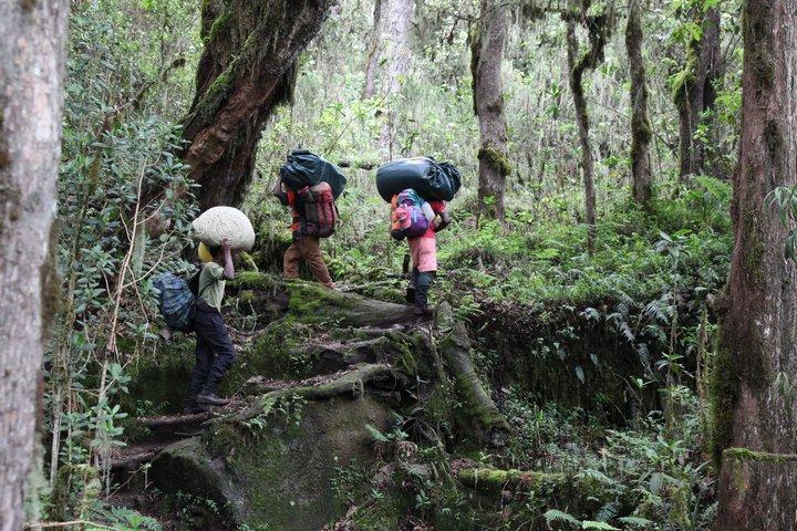 7 Day Mount Kilimanjaro Climb via Machame Route