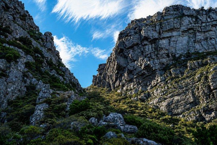 Table Mountain Hike via Kasteels Poort Trail