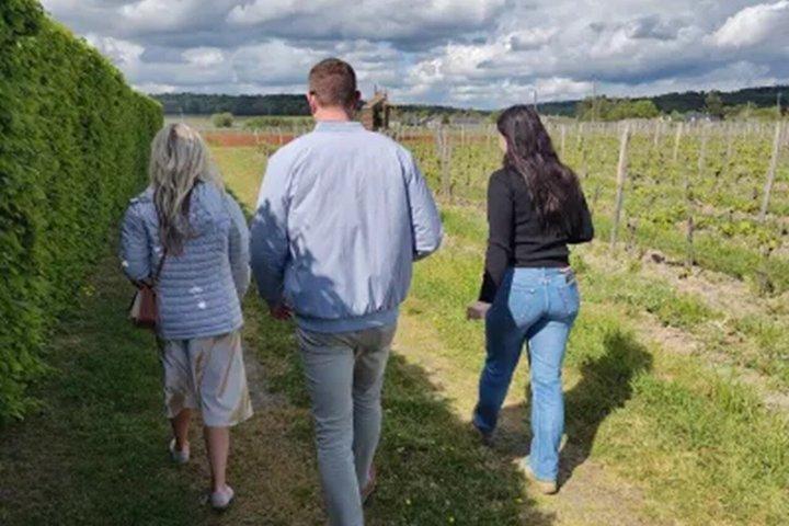 Loire Valley Wine Half Day Tour in Vouvray