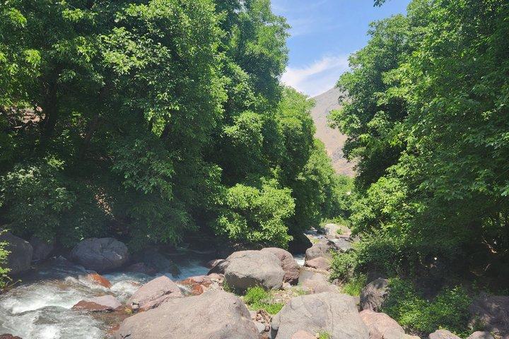 From Marrakech:Atlas Mountains hal Day in nature place