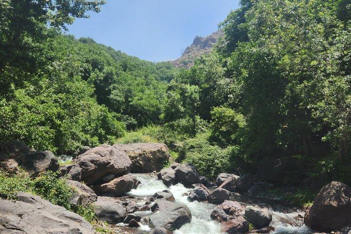 From Marrakech:Atlas Mountains hal Day in nature place