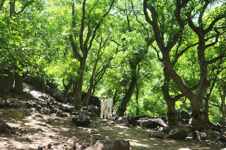 From Marrakech:Atlas Mountains hal Day in nature place