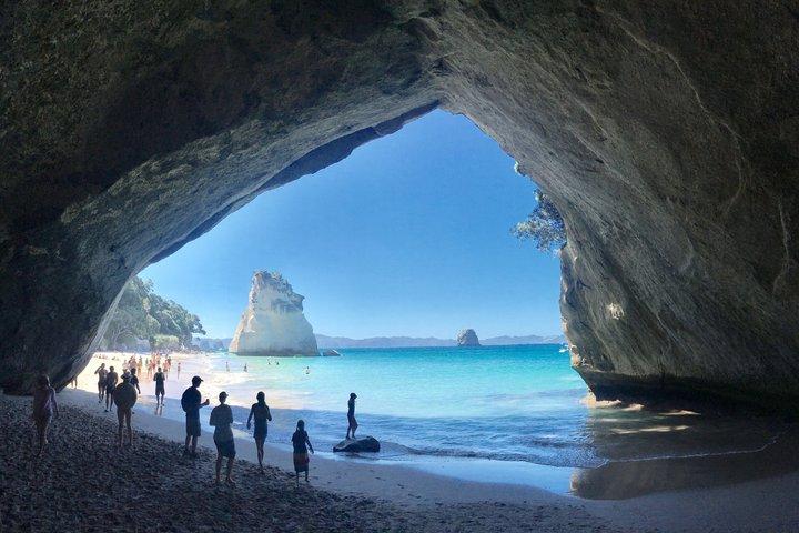 Cathedral Cove Day Trip from Auckland