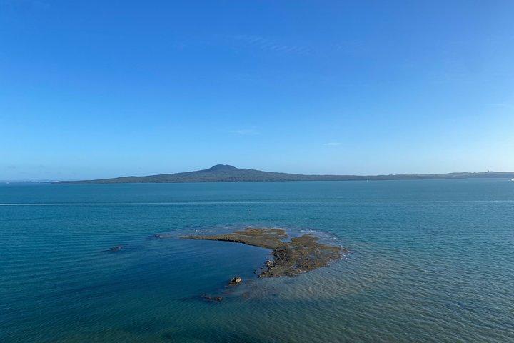 Half-Day Volcano Tour from Auckland
