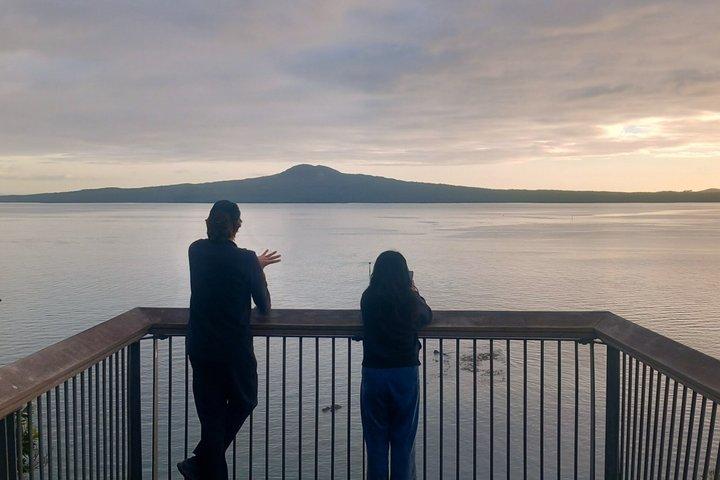 Half-Day Volcano Tour from Auckland