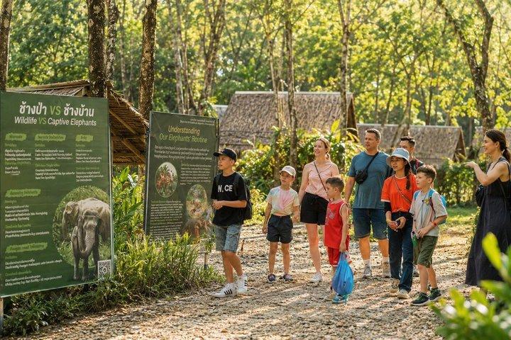 Khao Lak Ethical Elephant Sanctuary & Zipline Adventure