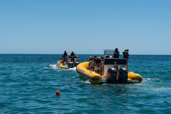 Algarve Coast RIB Adventure Explore Benagil Caves and More