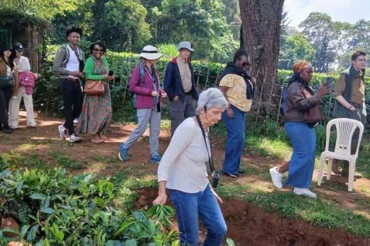 Nairobi: Kiambethu Tea Farm Tour with Lunch