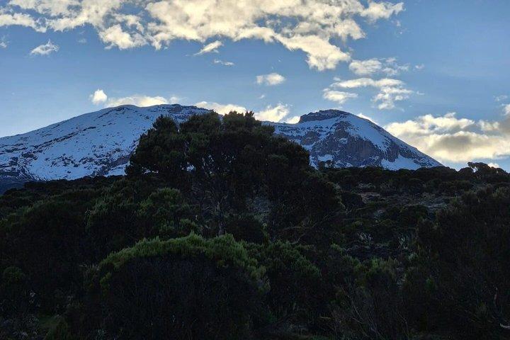 Best Mount Kilimanjaro Day Hike to Mandara Hut via Marangu Route