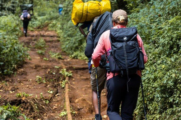 Best Mount Kilimanjaro Day Hike to Mandara Hut via Marangu Route