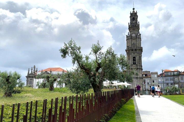 Porto History and Culture Walking Tour with Local Guides