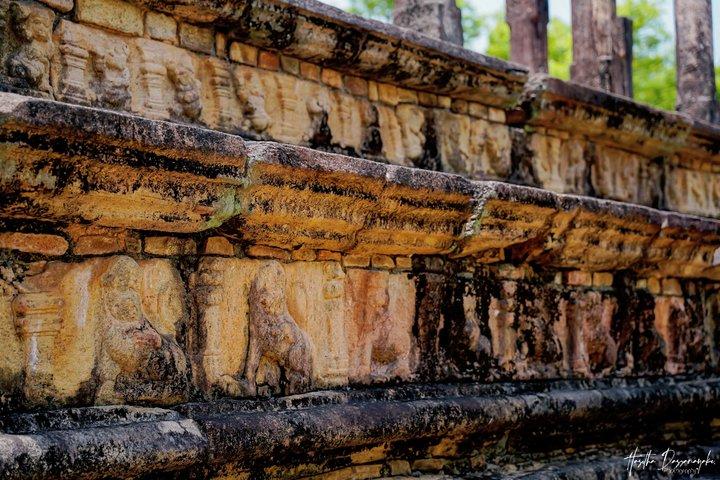 Visiting the Historical Polonnaruwa Ruins and Minneriya Safari