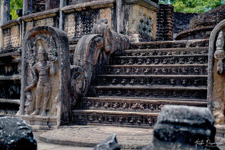 Visiting the Historical Polonnaruwa Ruins and Minneriya Safari