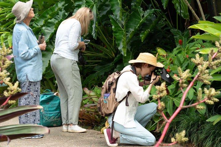 Cairns Botanic Gardens Family Night Walk