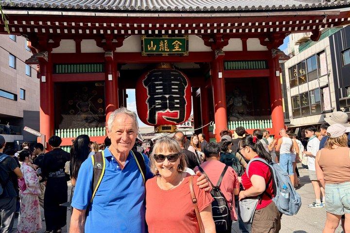 Tokyo Private Half-Day Highlights Tour by Car with Guide