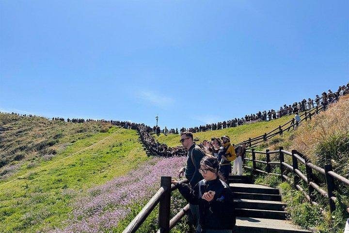 (Guaranteed Return) Jeju Authentic Shore Excursion Cruise
