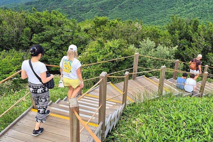 Jeju Island South UNESCO Highlights Day Tour With Mt Halla