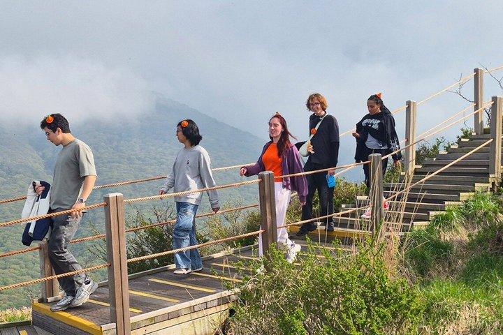 Jeju Island South Unesco Mt Halla One day Bus Tour