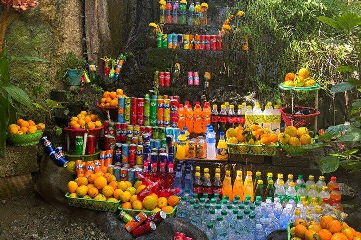Marrakech: Ourika Valley, Atlas Mountains, Waterfalls & Lunch