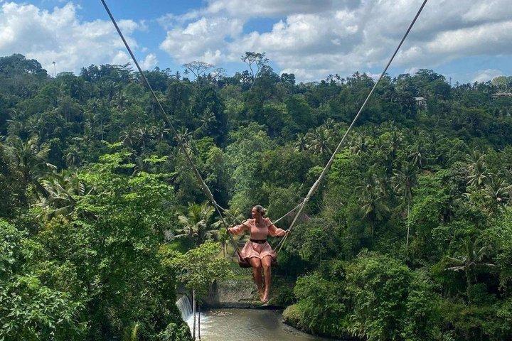 Ubud Waterfall, Temple & Rice Terrace Private Tour
