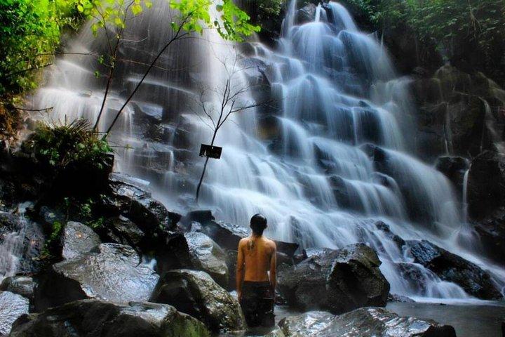 Ubud Waterfall, Temple & Rice Terrace Private Tour