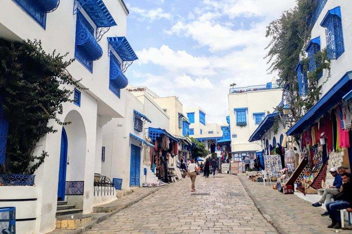 Fun prestige tour Tunis :Bardo/Medina, Carthage and Sidi Boussaid