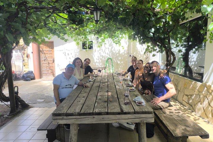 Valencia Vineyard Tour with Wine Tasting, Cava and Snacks