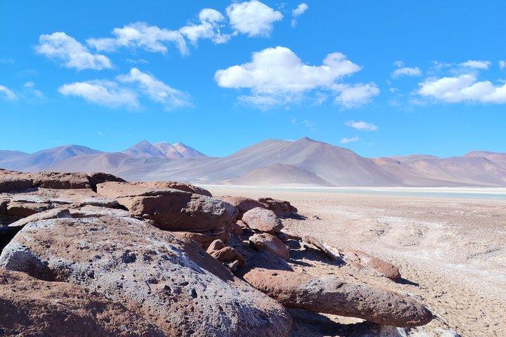 Full Day Tour to Red Stones, High Plains and Chaxa