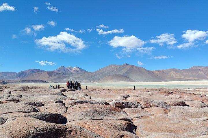 Full Day Tour to Red Stones, High Plains and Chaxa