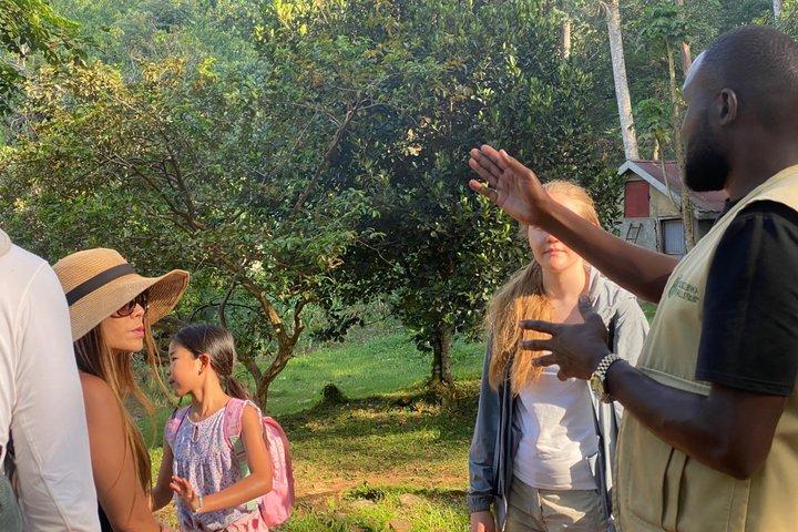 Jinja day tour exploring the source of River Nile