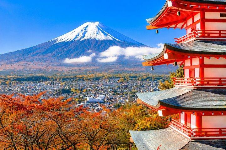 Mount Fuji & Lake Kawaguchi Small Group Tour from Tokyo - Max 12