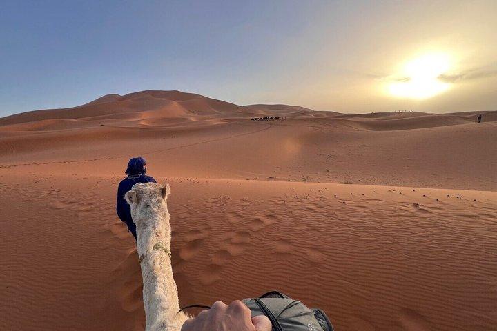 From Errachidia 3 Days 2N Desert Trip with Many drop off location