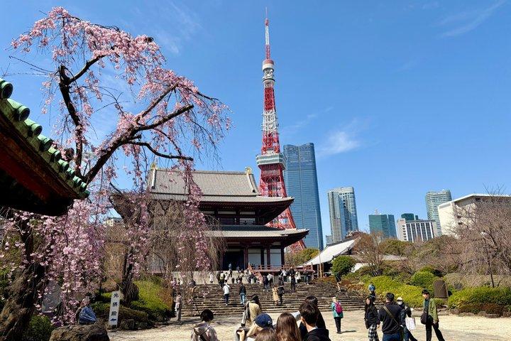 Tokyo Private Half-Day Highlights Tour by Car with Guide