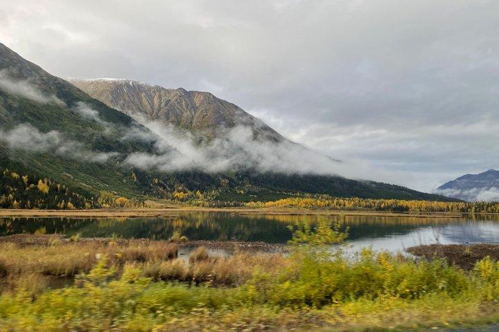 Anchorage to Seward Wildlife Adventure