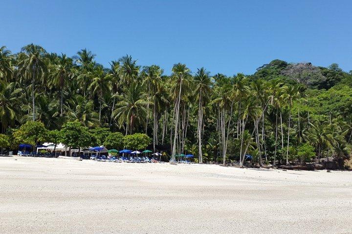 All Inclusive Catamaran Day Tour to Tortuga Island