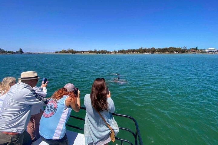 1 Hour Deluxe Scenic Dolphin Cruise