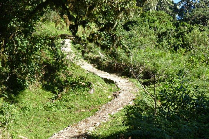 3 Days Mount Meru Guided Trekking Tour