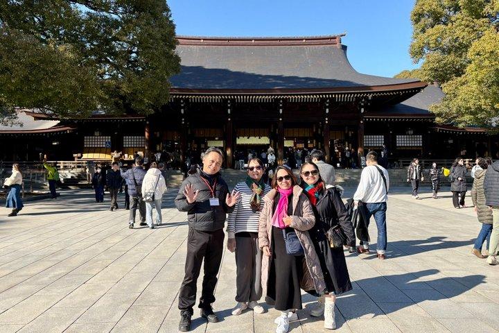 Tokyo Private Tour for First-Time Visitors by Luxury Car
