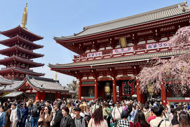 Tokyo Private Tour for First-Time Visitors by Luxury Car
