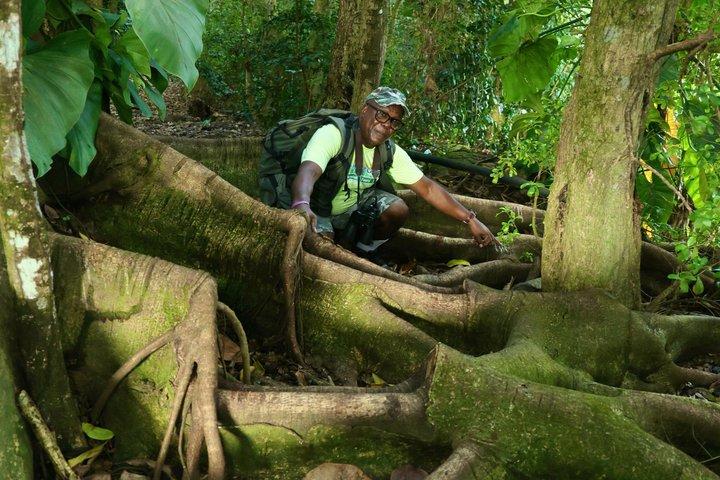 Katy Hill (Extreme) Hike with Award-Winning Guide