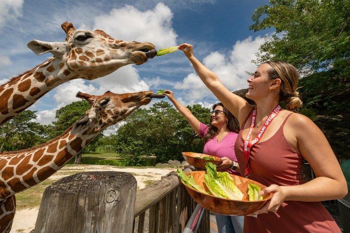 Zoo Miami Ticket with Optional Upgrade
