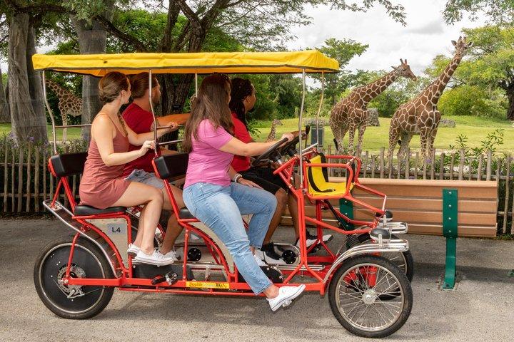 Zoo Miami Ticket with Optional Upgrade