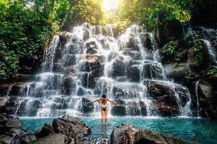 Ubud Private Tour: Waterfalls, Temple and Rice Terraces Swing