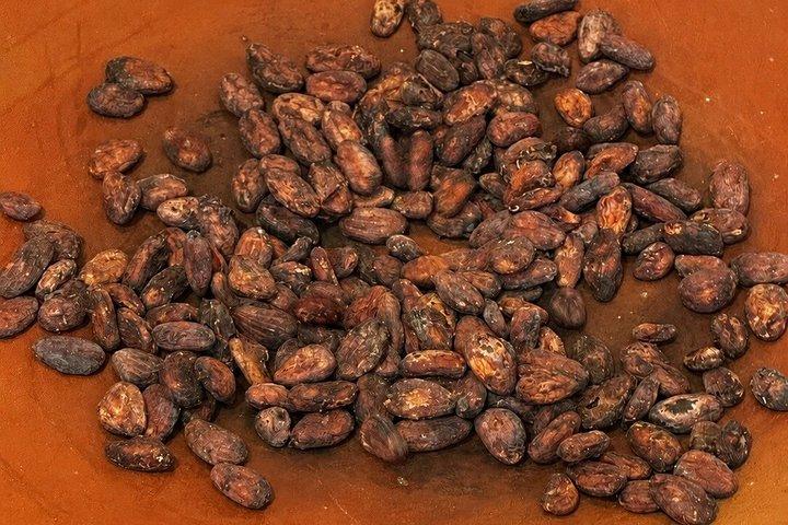 Traditional Oaxacan Chocolate Class