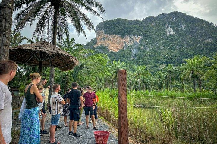 A Mini Moment at Krabi Roaming Elephant Sanctuary (NO-Touching)