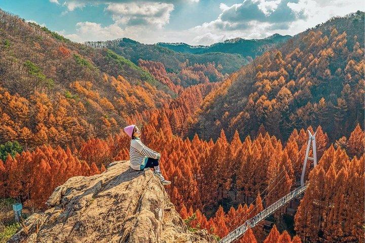 Jeonju Hanok Village Full-Day Tour: Jangtaesan Green Forest