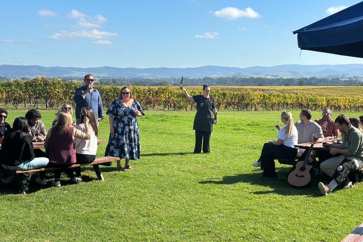 Yarra Valley Wine Tour w Exclusive Gin, Cider & Chocolate Tasting